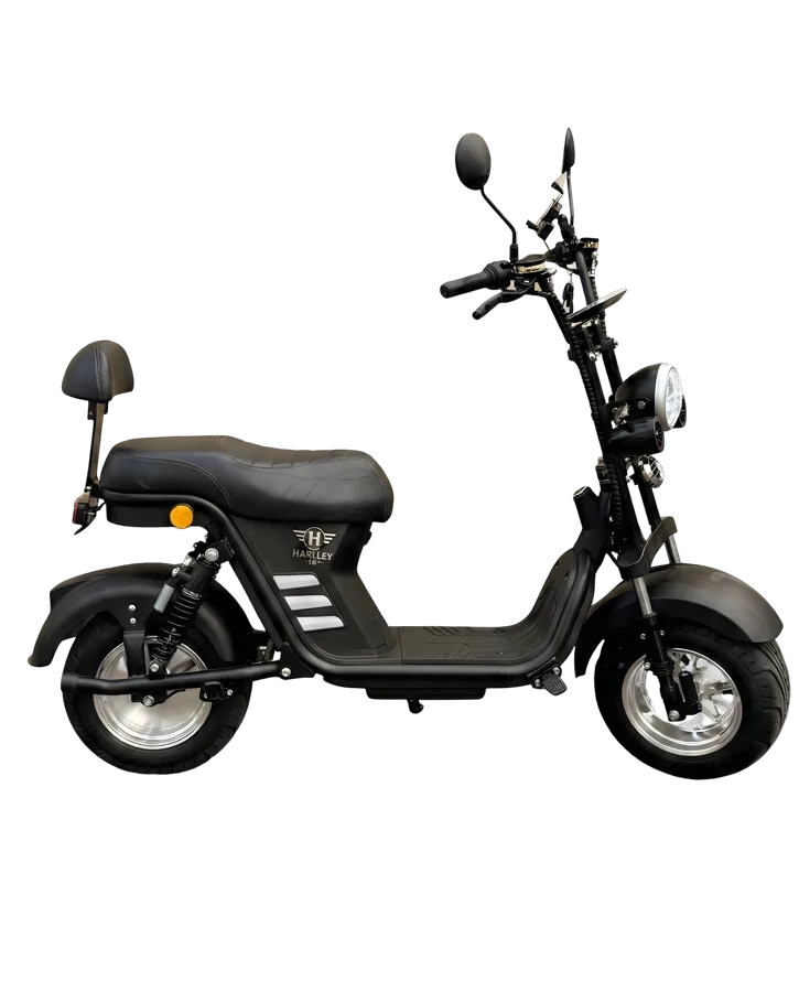 H Fan - Hao Motors